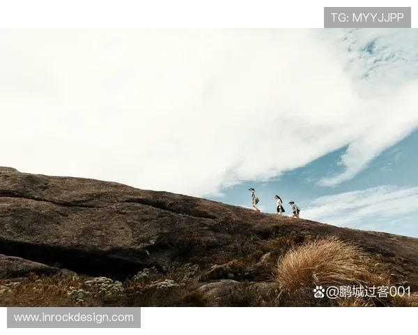 李磊专访：极限运动之路的挑战与成长回顾