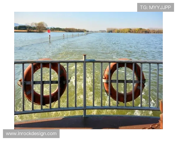 杭州极限运动队状态分析与发展前景探讨